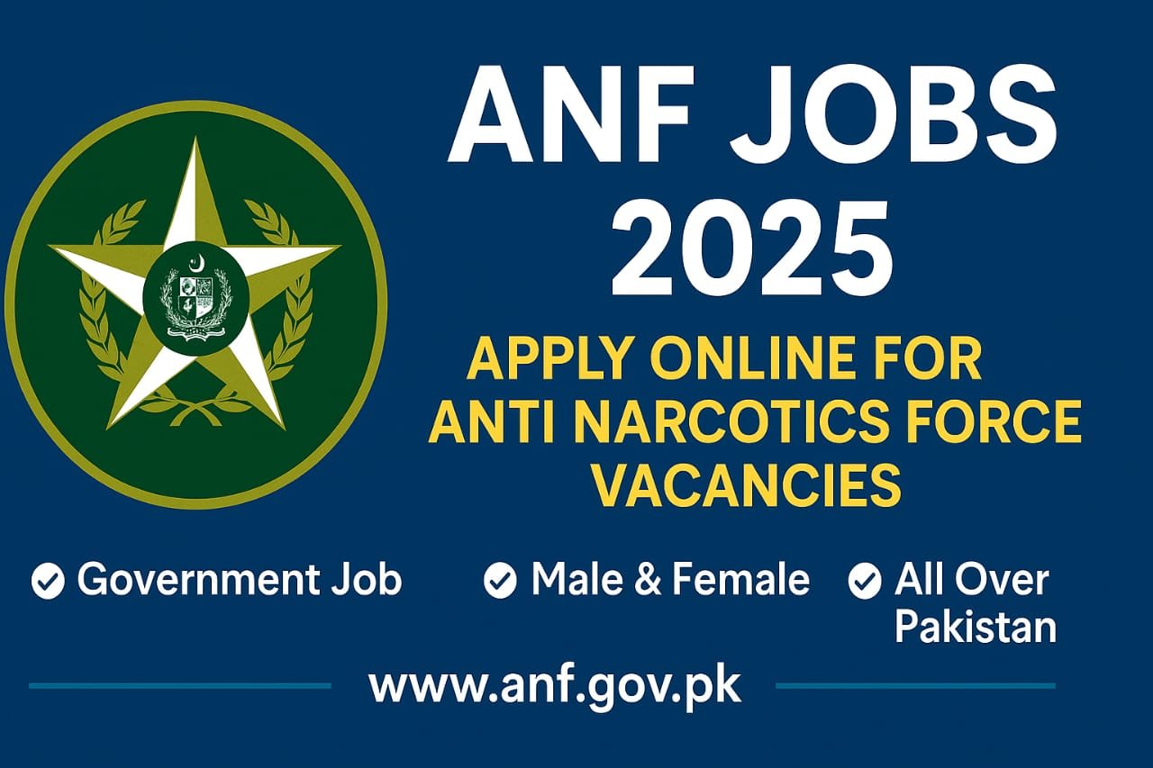 ANF jobs 2025